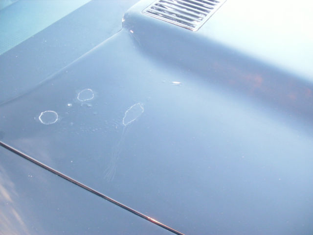 1975 Chevrolet Corvette Sportswagon - photo 11