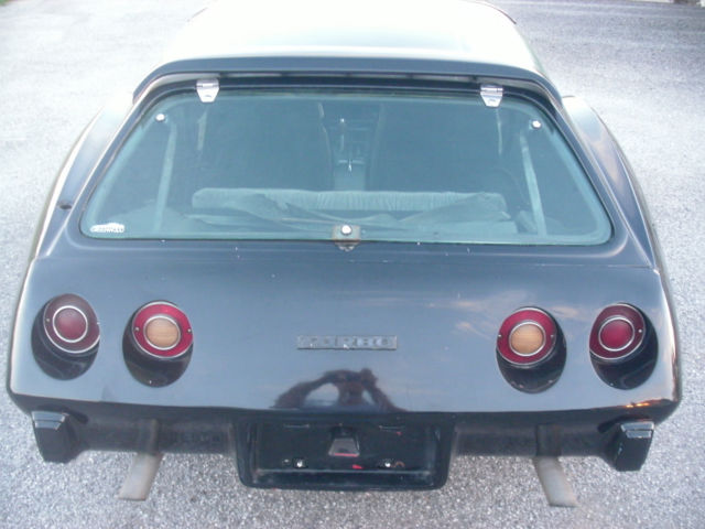 1975 Chevrolet Corvette Sportswagon - photo 5