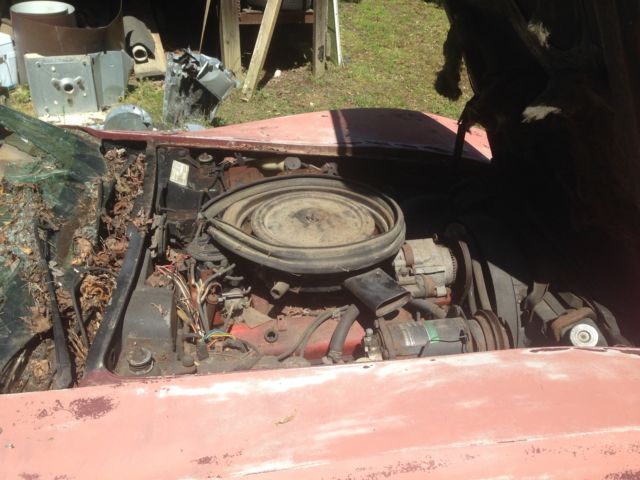 1975 Chevrolet Corvette - photo 6