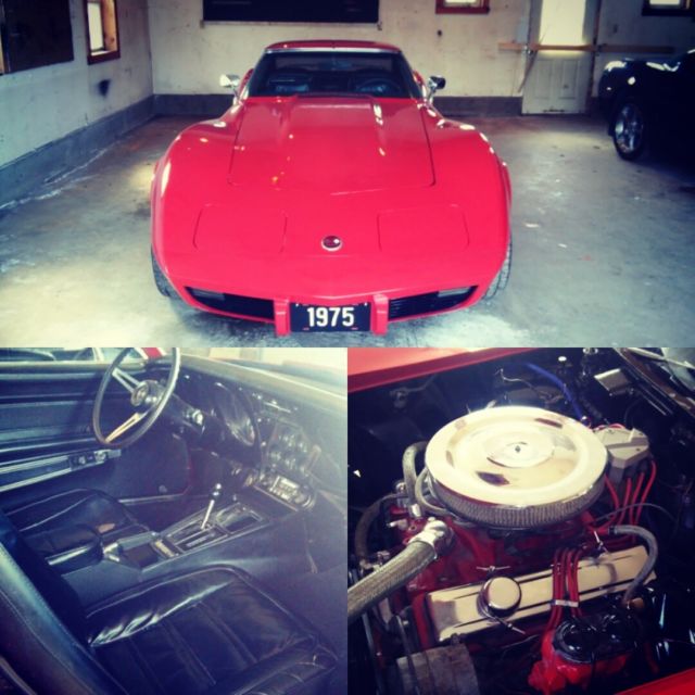 1975 Chevrolet Corvette STINGRAY - photo 7