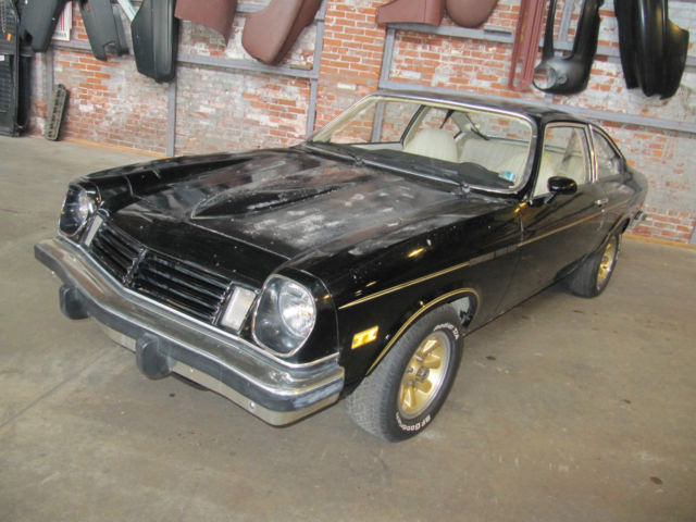 1975 Chevrolet Cosworth Vega - photo 4