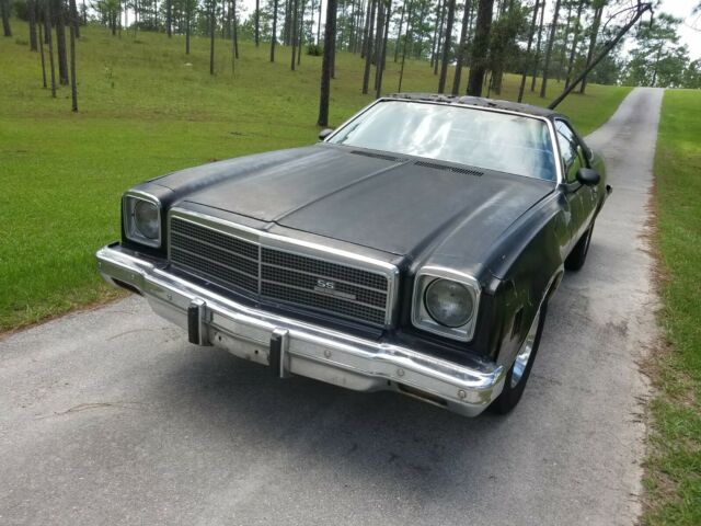 1975 Chevrolet El Camino SS 350 - photo 5