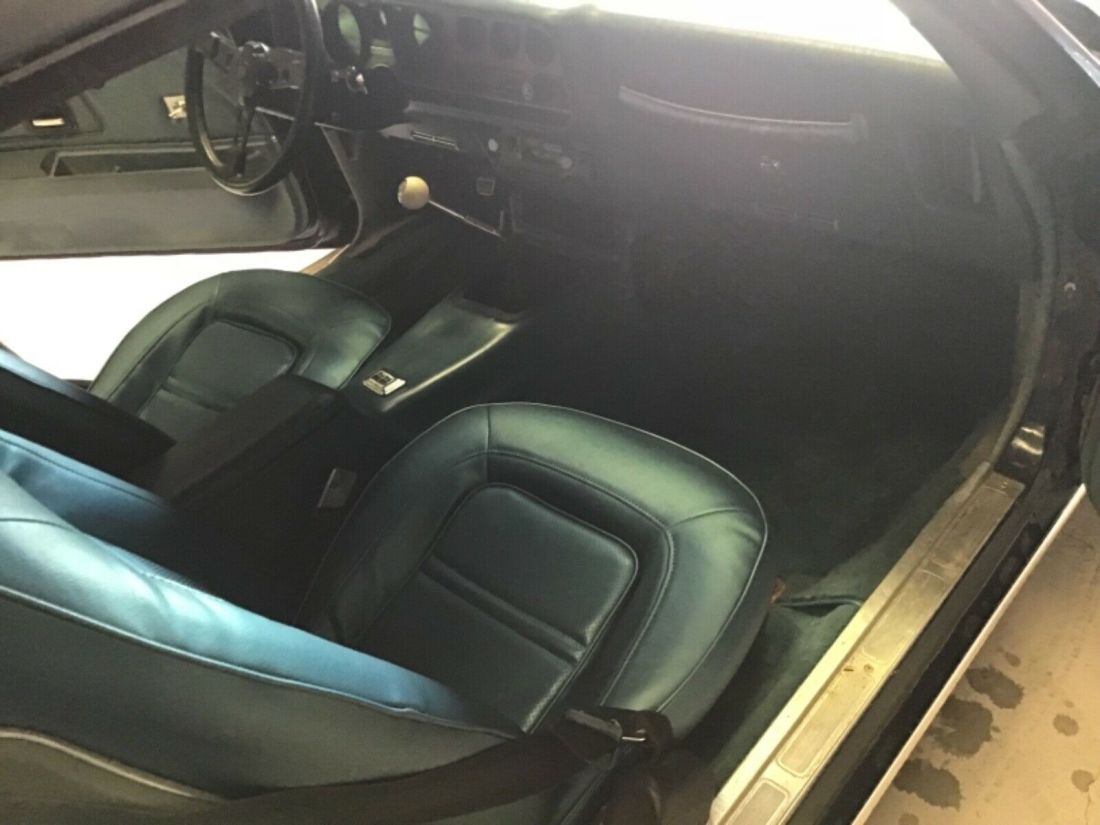 1975 Pontiac Firebird - photo 11