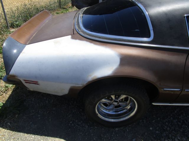 1975 Pontiac Firebird - photo 11