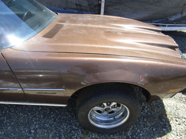 1975 Pontiac Firebird - photo 12