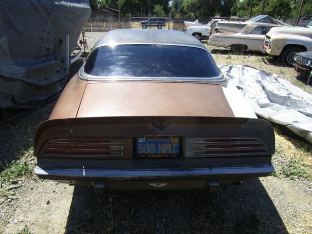 1975 Pontiac Firebird - photo 4