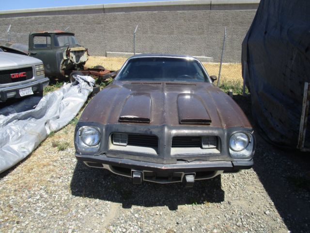 1975 Pontiac Firebird - photo 5