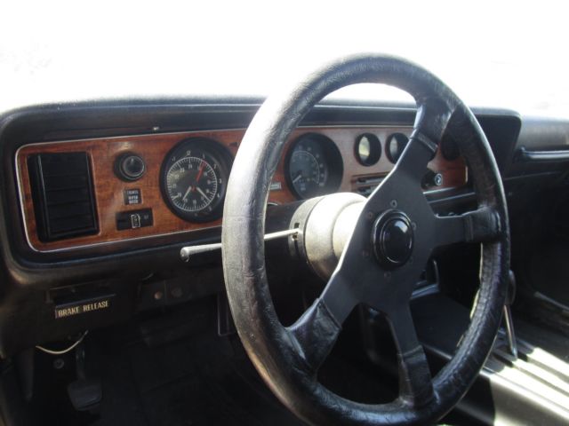 1975 Pontiac Firebird - photo 9