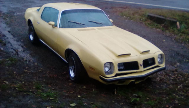 1975 Pontiac Firebird formula - photo 10