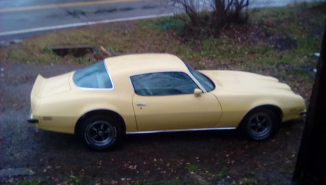 1975 Pontiac Firebird formula - photo 3