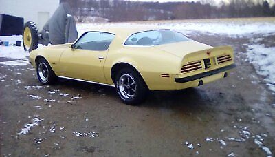 1975 Pontiac Firebird formula - photo 8