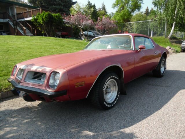 1975 Pontiac Firebird firebird - photo 3