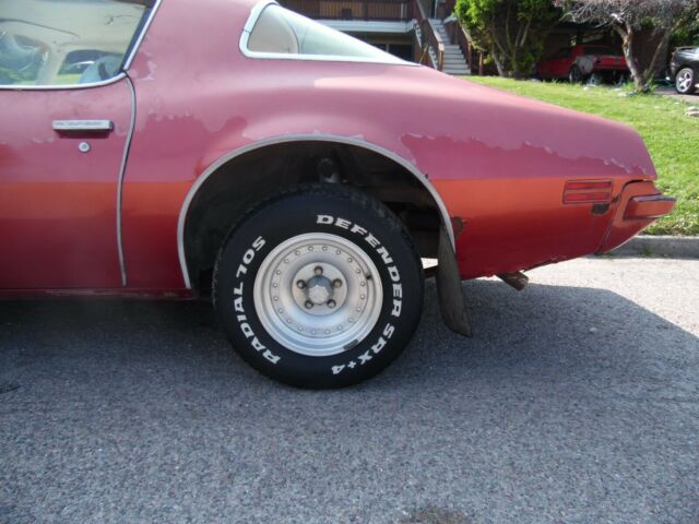 1975 Pontiac Firebird firebird - photo 5