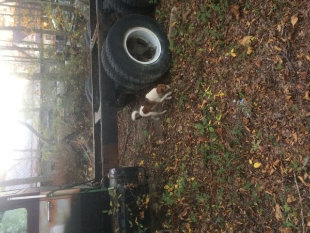 1975 Ford F-350 - photo 3