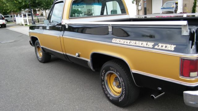 1975 GMC Sierra 1500 SIEREA CLASSIC - photo 3
