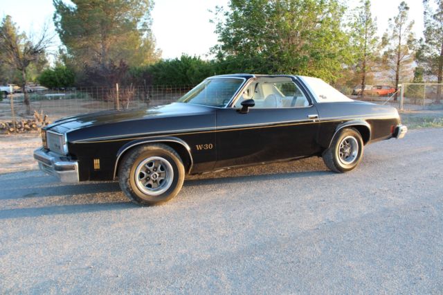 1975 Hurst Olds, Project, Survivor, Barn Find 1975 Oldsmobile Cutlass