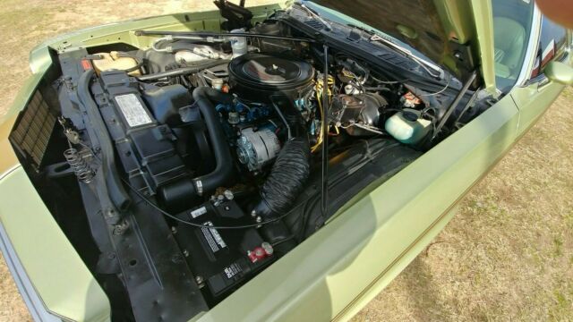 1975 Oldsmobile Cutlass Cutlass Suprime - photo 12