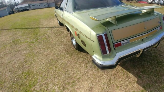 1975 Oldsmobile Cutlass Cutlass Suprime - photo 7
