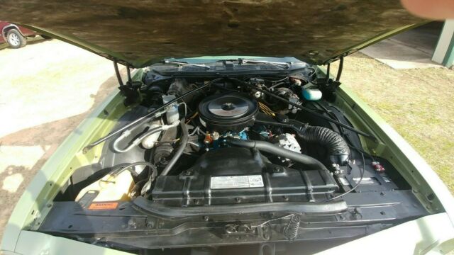 1975 Oldsmobile Cutlass Cutlass Suprime - photo 9