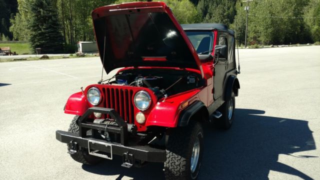 1975 Jeep CJ - photo 10
