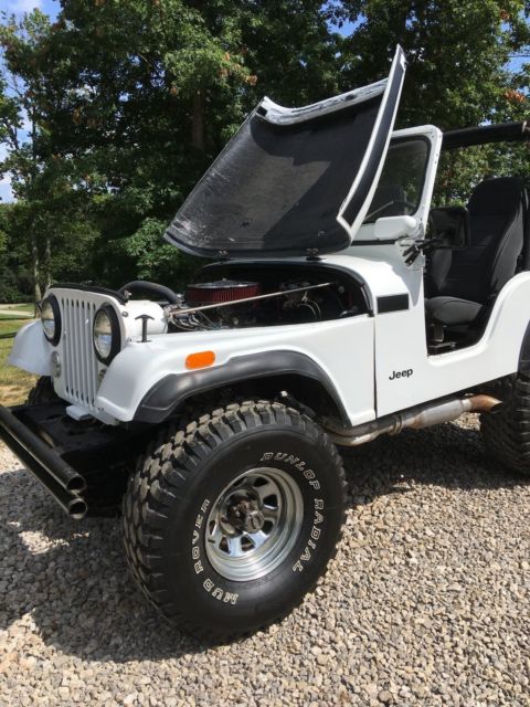 1975 Jeep CJ - photo 2