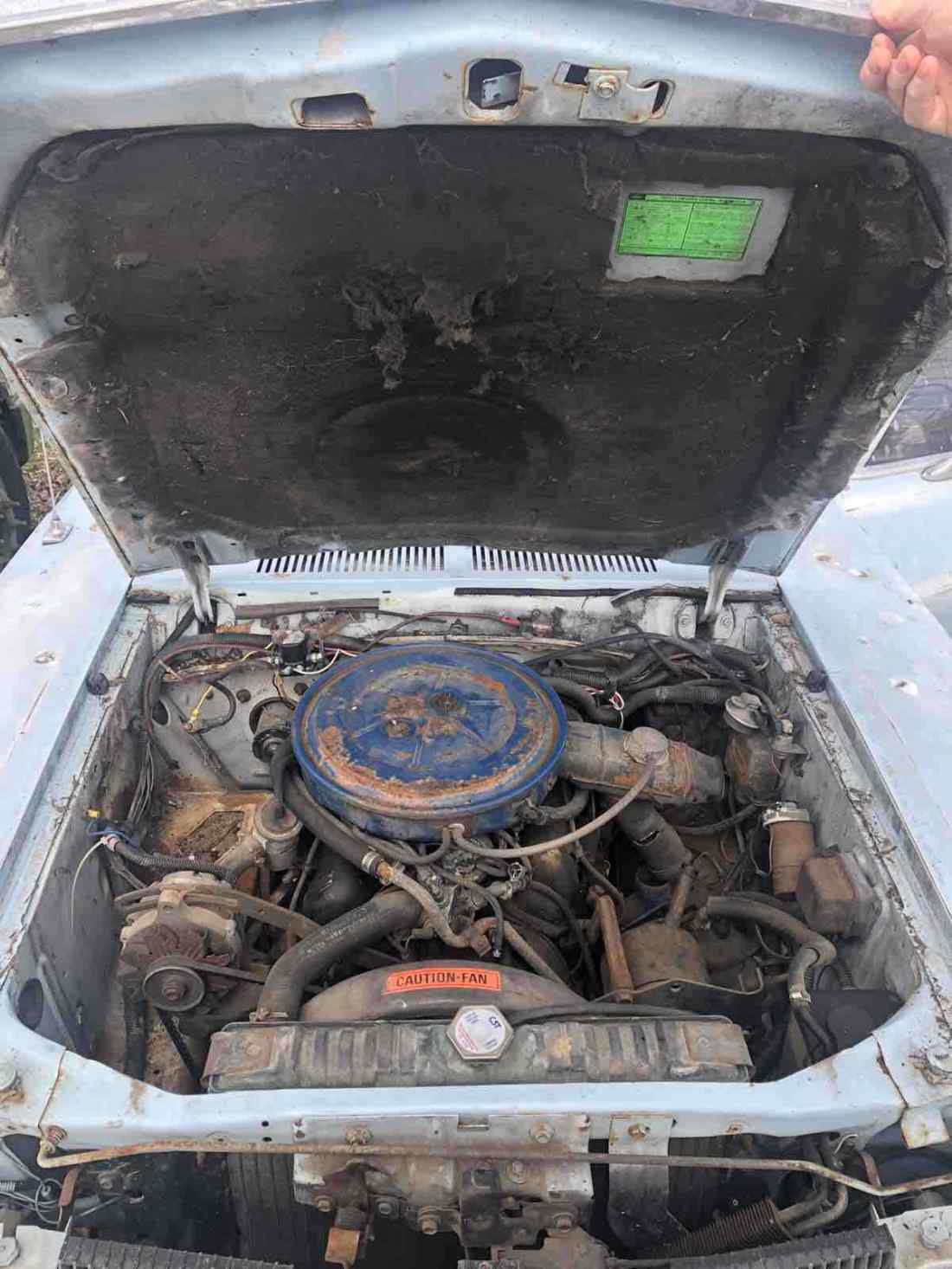 1975 Mercury Bobcat - photo 11