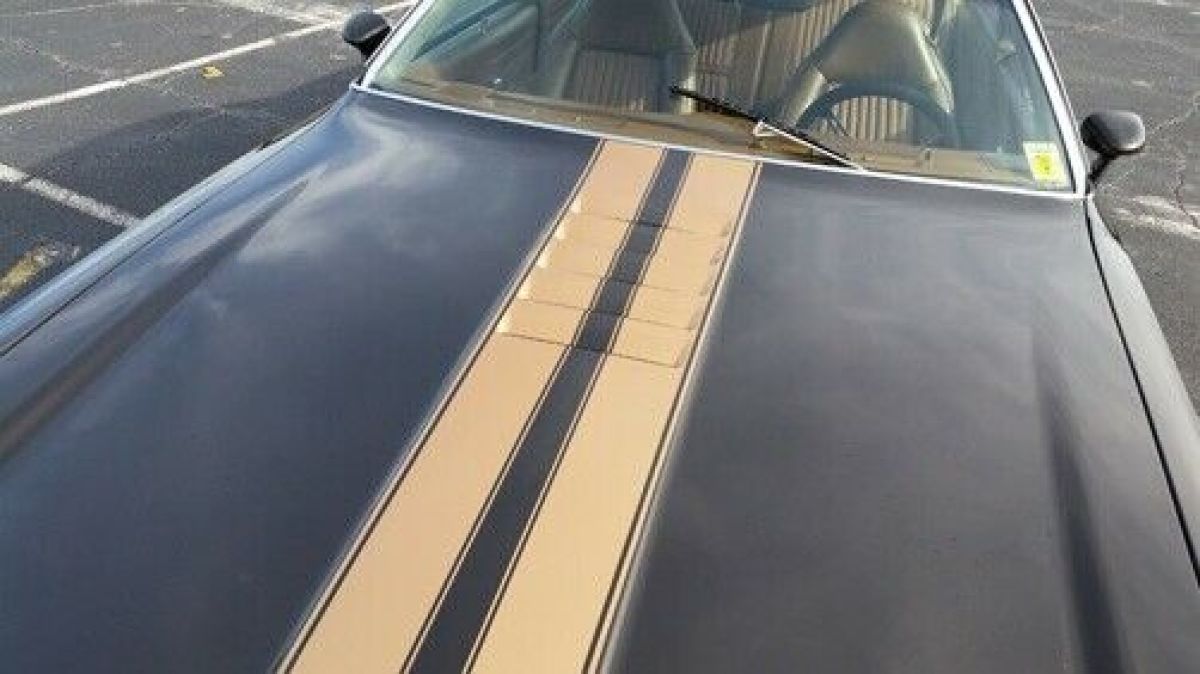 1975 Oldsmobile 442 - photo 9