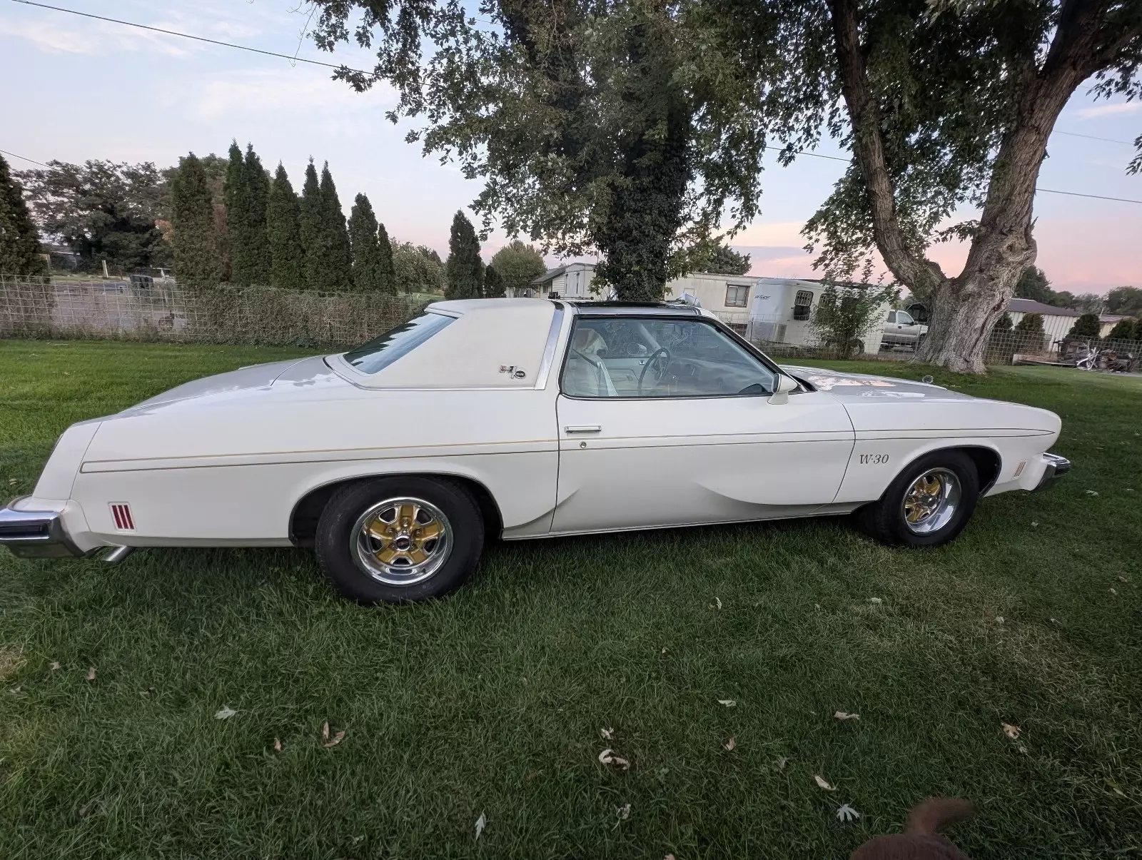 1975 Oldsmobile Cutlass Coupe White Hurst Olds W30 1975 Oldsmobile Cutlass Hurst Olds W30