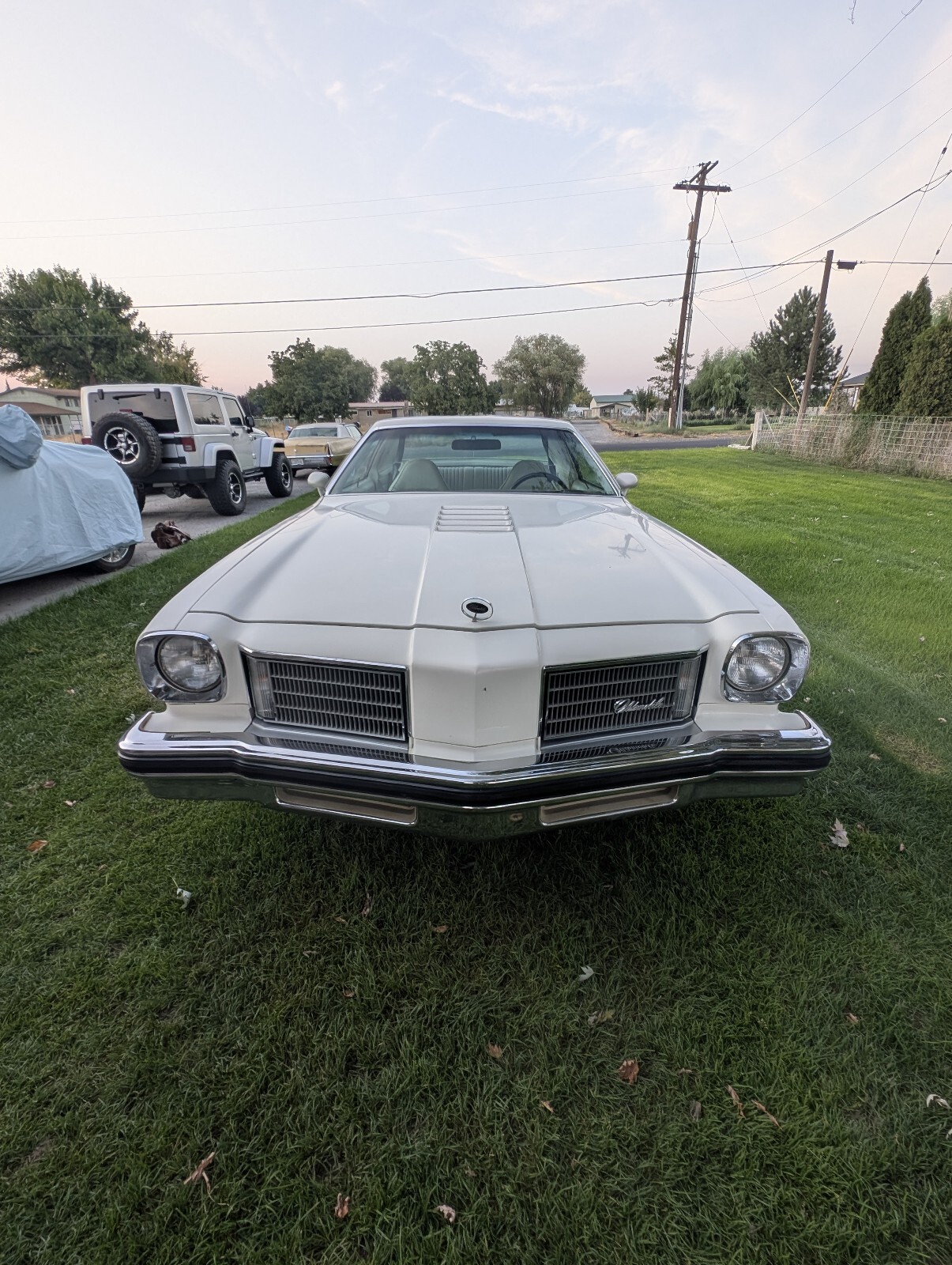 1975 Oldsmobile Cutlass Hurst Olds W30 - photo 5