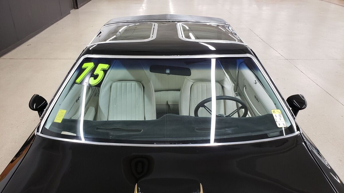 1975 Oldsmobile Cutlass Hurst/Olds W-30 - photo 13