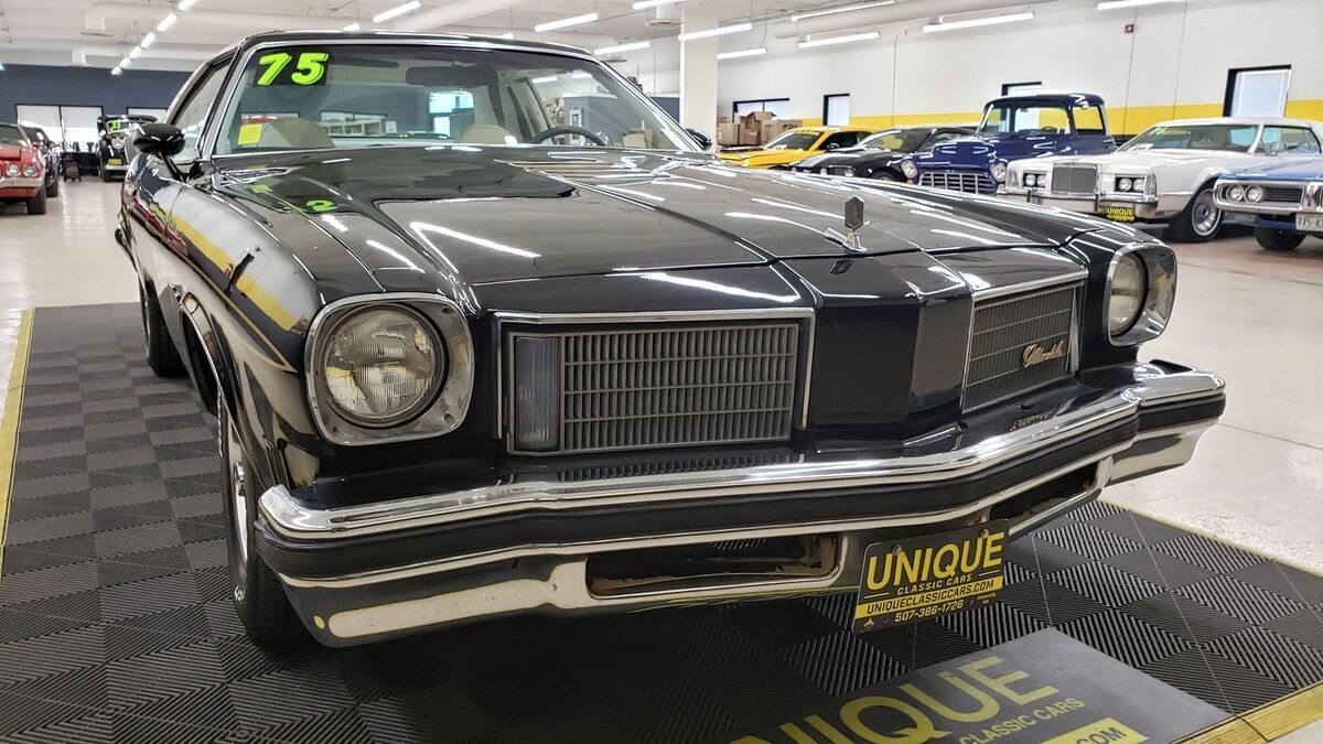1975 Oldsmobile Cutlass Hurst/Olds W-30 - photo 8
