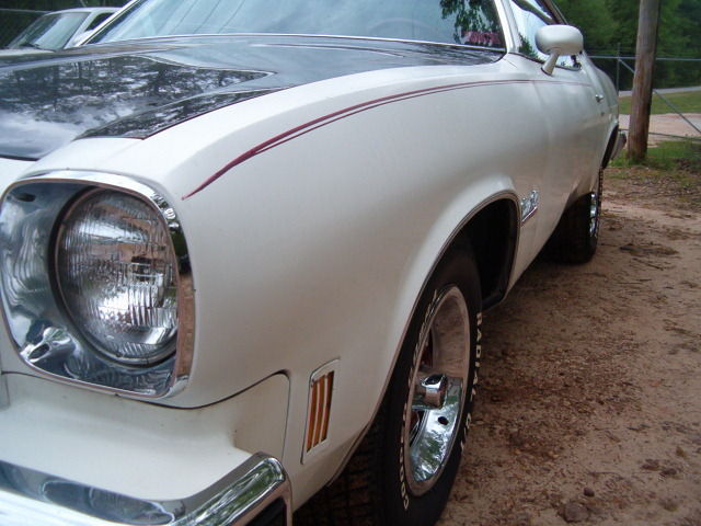 1975 Oldsmobile Cutlass Salon - photo 6