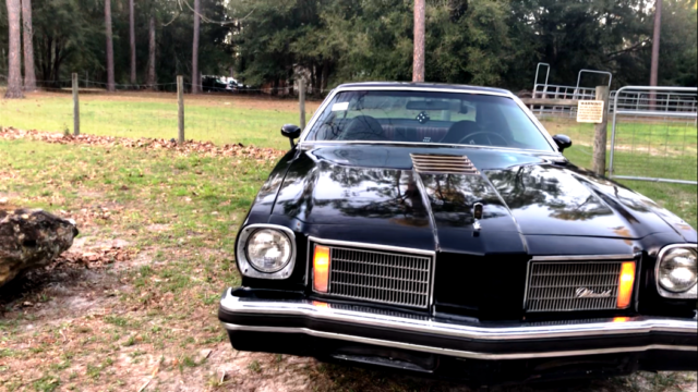 1975 Oldsmobile Cutlass supreme - photo 4