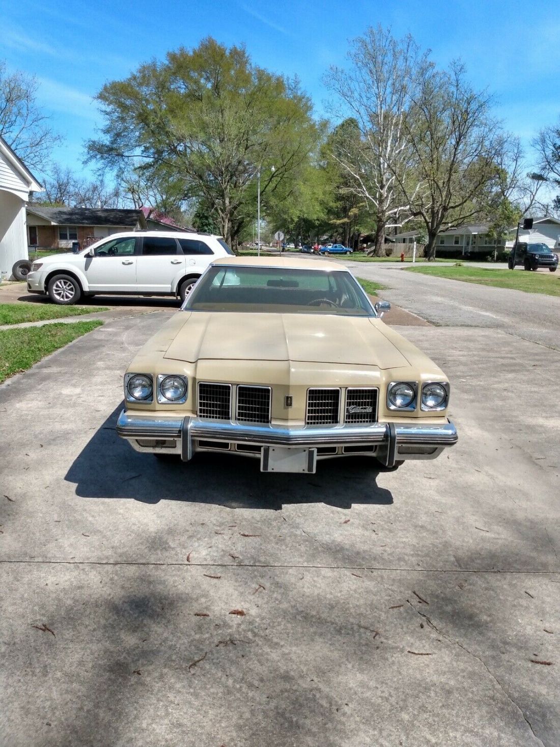 1975 Oldsmobile Delta 88