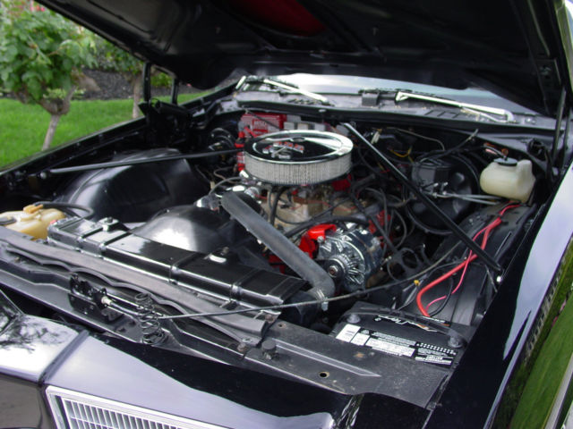 1975 Oldsmobile 442 W-30 - photo 11