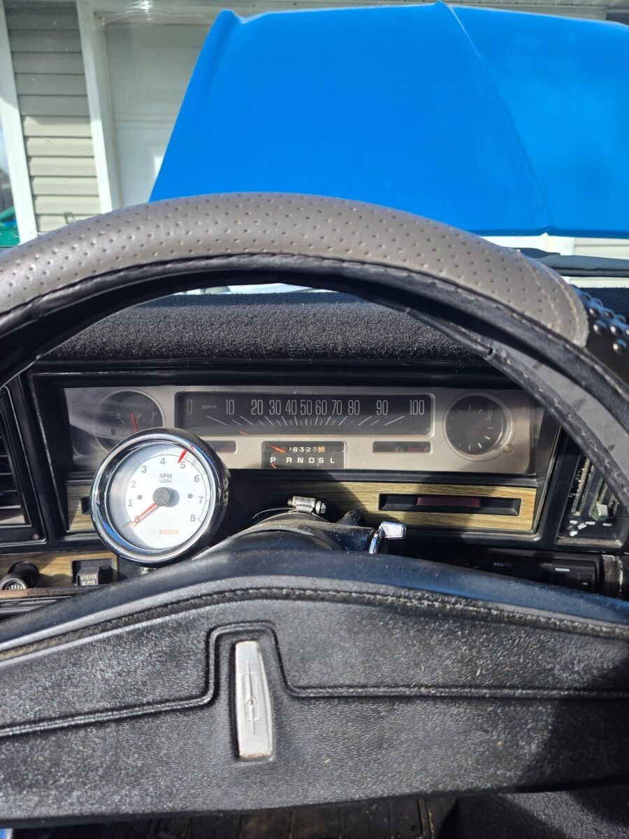 1975 Oldsmobile Omega - photo 13