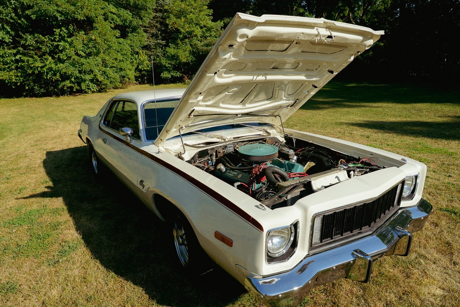 1975 Plymouth Fury III - photo 5