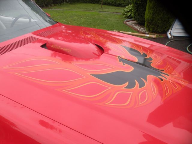 1975 Pontiac Trans Am TRANS AM - photo 7