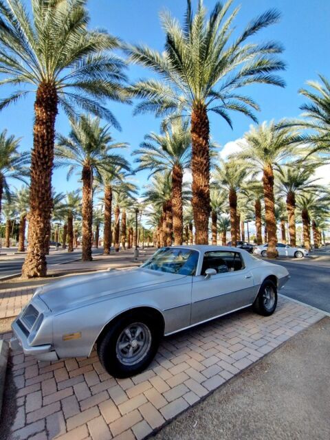 1975 Pontiac Firebird Coupe Grey RWD Automatic 455 1975 Pontiac Firebird 455