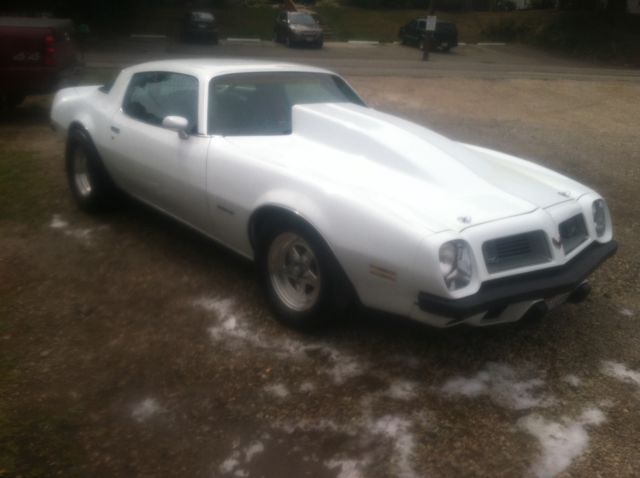 1975 Pontiac Firebird - photo 11