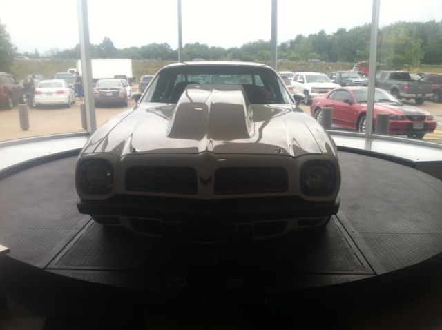1975 Pontiac Firebird - photo 5