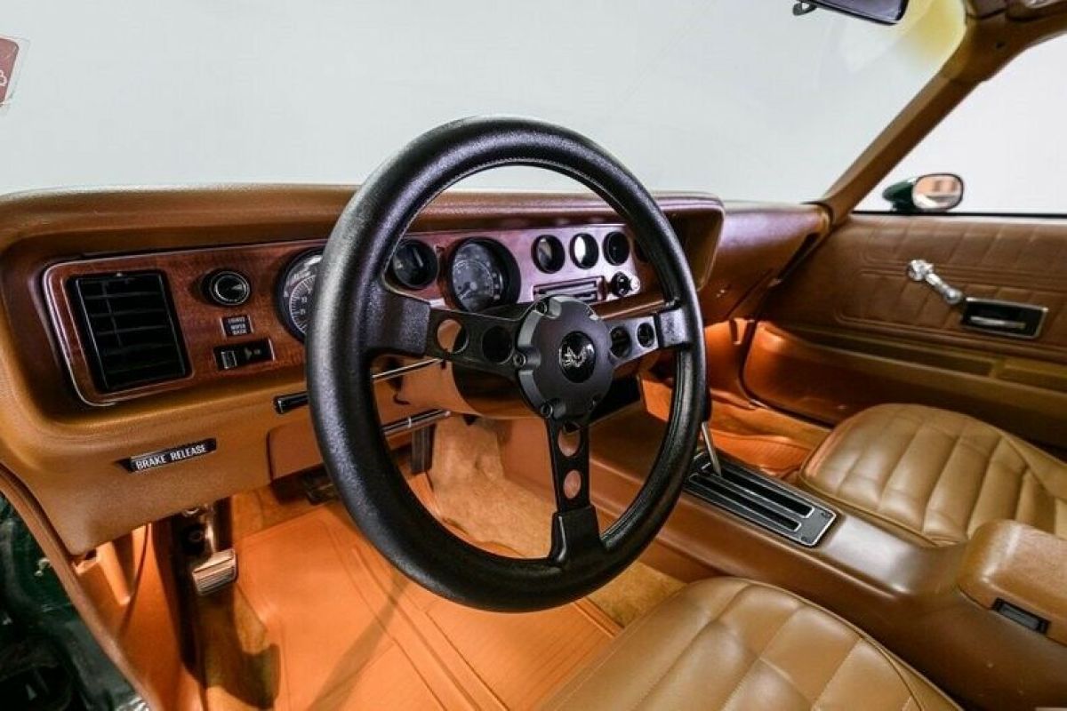 1975 Pontiac Firebird Formula - photo 12
