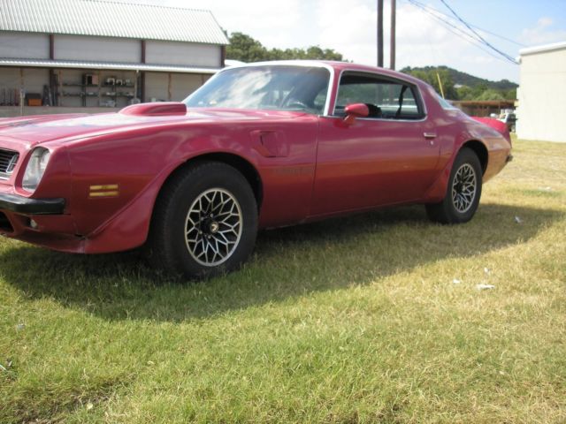 1975 Pontiac Trans Am - photo 4