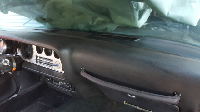 1975 Pontiac Firebird Trans Am Coupe 2-Door - photo 9