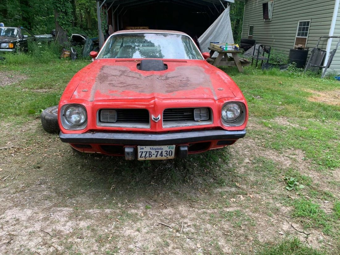 1975 Pontiac Firebird Trans Am - photo 2