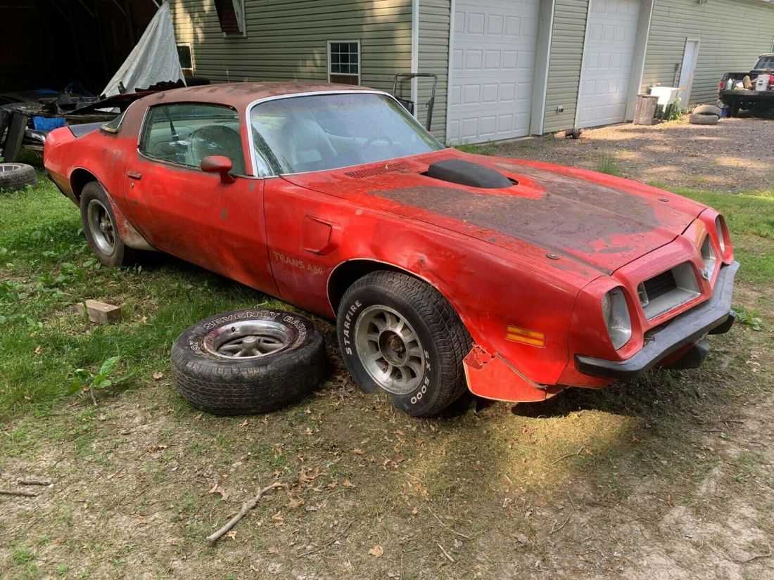 1975 Pontiac Firebird Trans Am - photo 3