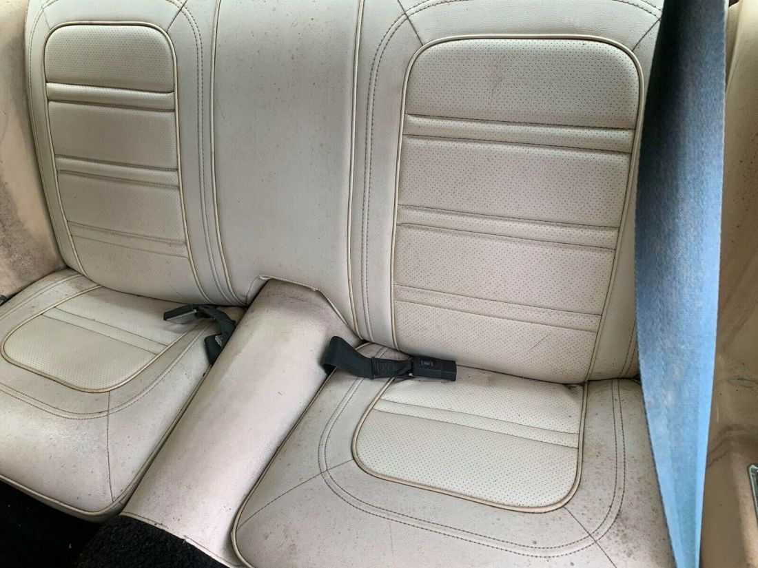 1975 Pontiac Firebird Trans Am - photo 9