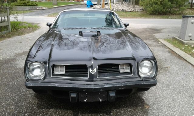 1975 PONTIAC FIREBIRD TRANS-AM - photo 2