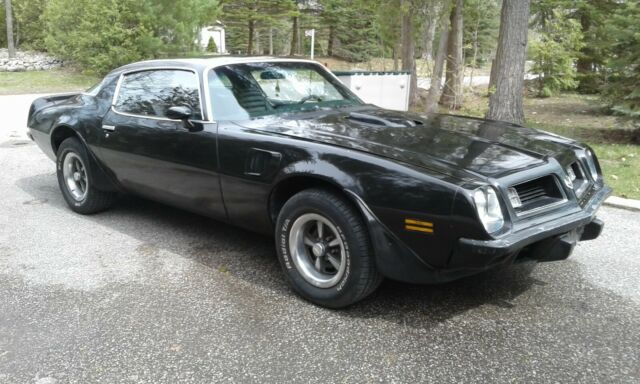 1975 PONTIAC FIREBIRD TRANS-AM - photo 3