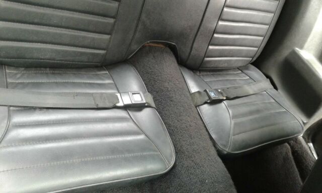 1975 PONTIAC FIREBIRD TRANS-AM - photo 9